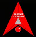 aaronitplacements.com